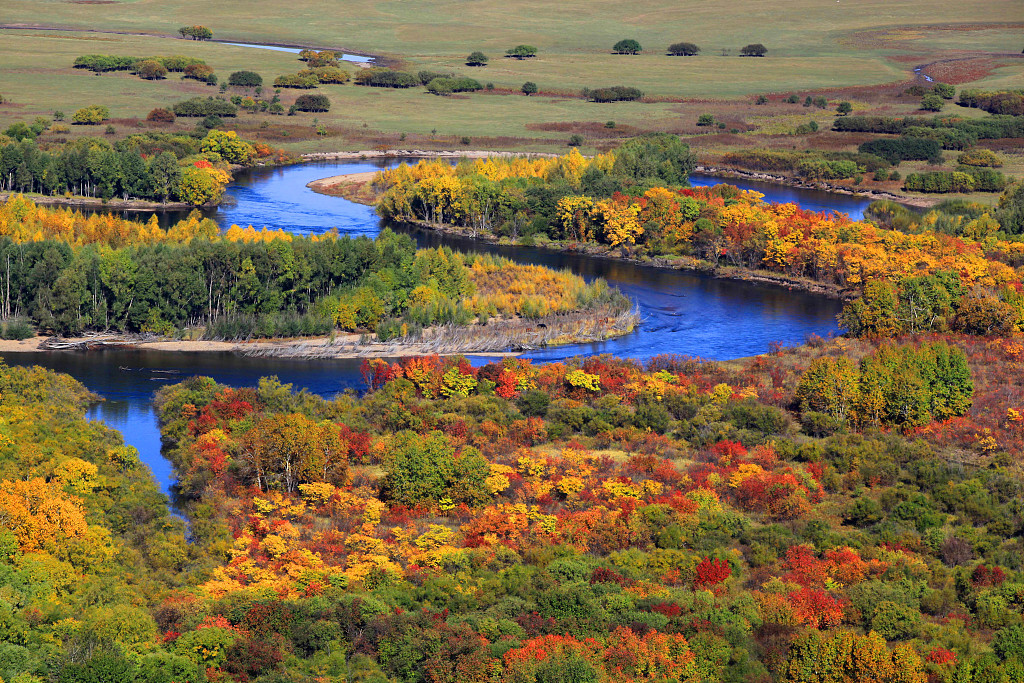 A photo taken on September 20, 2023 shows Erguna Wetland in Erguna, north China's Inner Mongolia Autonomous Region. /CFP