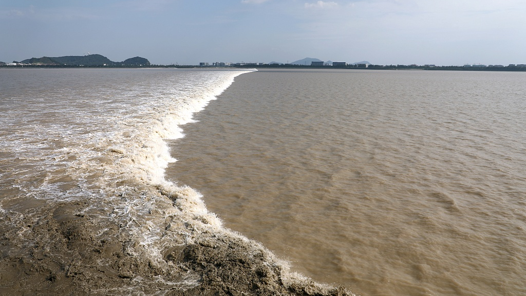 Live: Witness the world's largest tidal bore in Qiantang River, E China