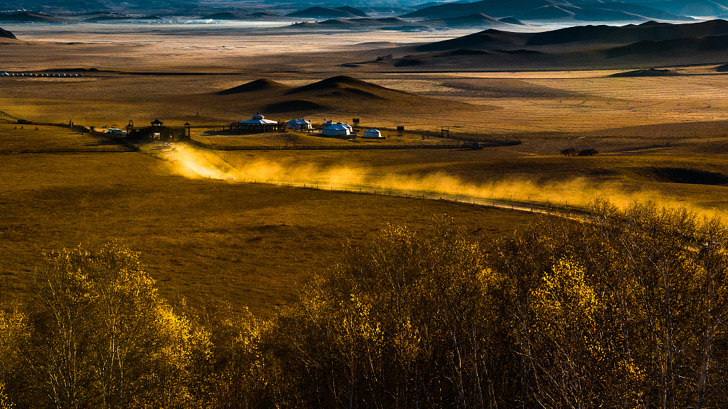 Live: Enjoy the beautiful autumn grasslands on the Saihanba Plateau 