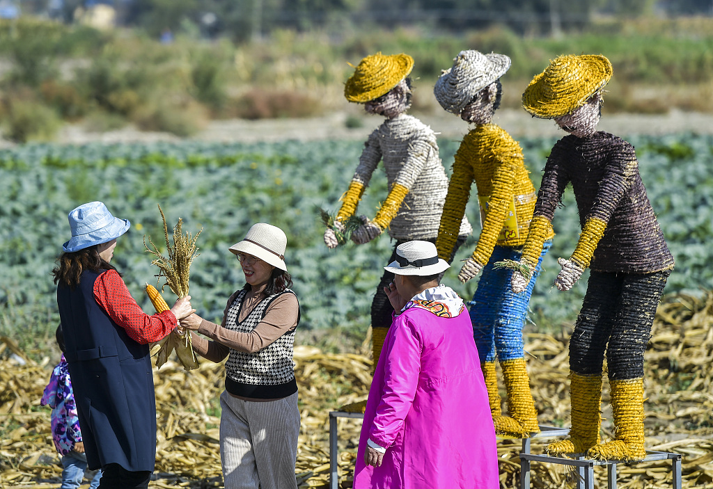 A photo shows brightly colored scarecrows in a field on October 2, 2023 in Urumqi, Xinjiang. /CFP