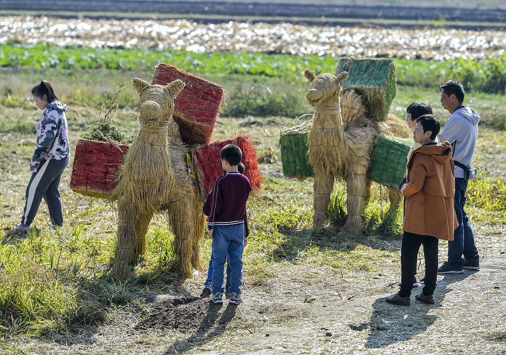 A photo shows visitors viewing camel-shaped scarecrows on October 2, 2023 in Urumqi, Xinjiang. /CFP