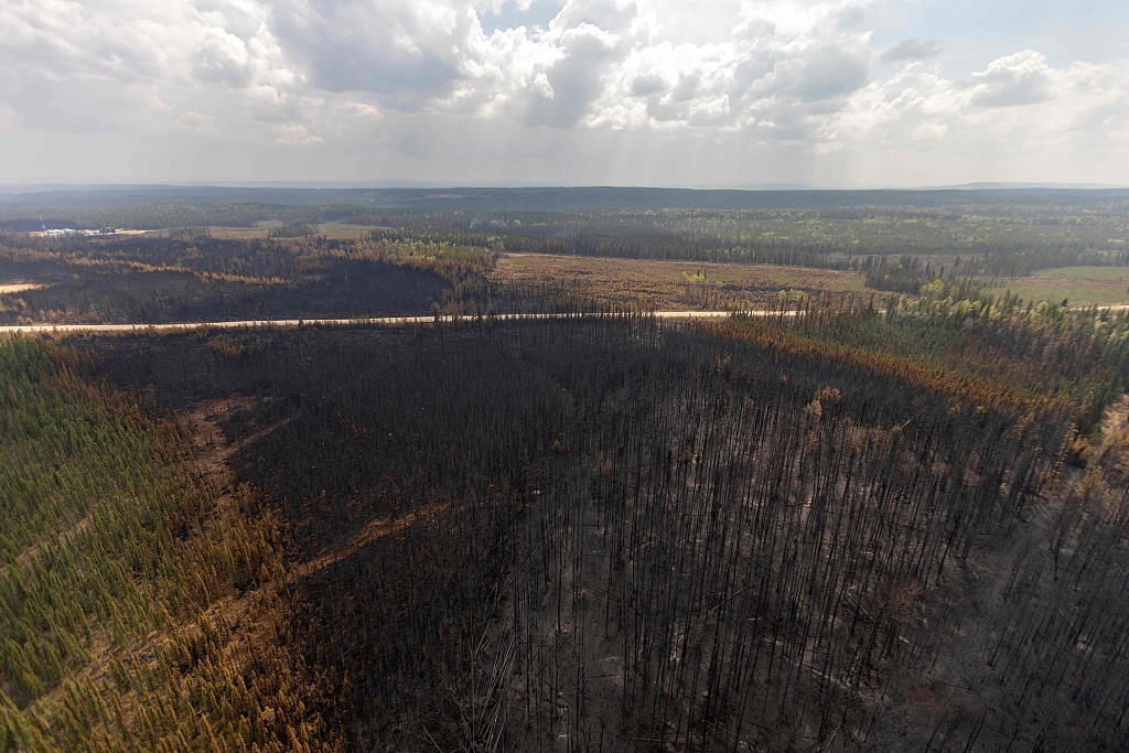 A burnt landscape caused by wildfires in Wild Hay area, Alberta, Canada, on May 10, 2023. /CFP