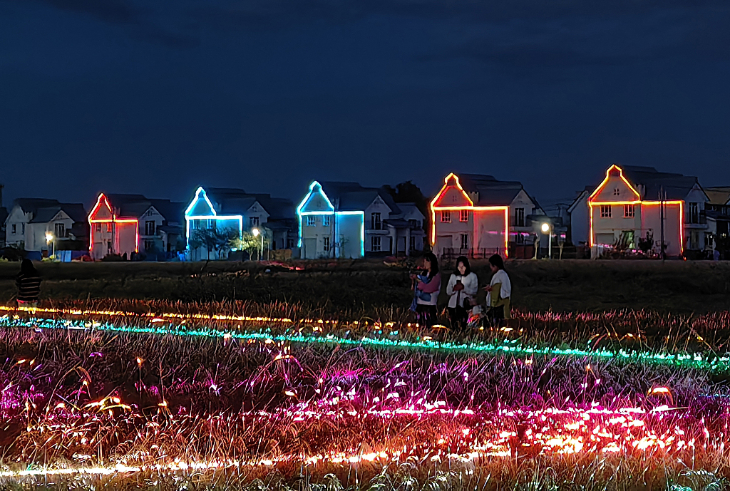 Visitors wander through rice fields during a laser show on October 2, 2023 in Urumqi, Xinjiang. /CFP