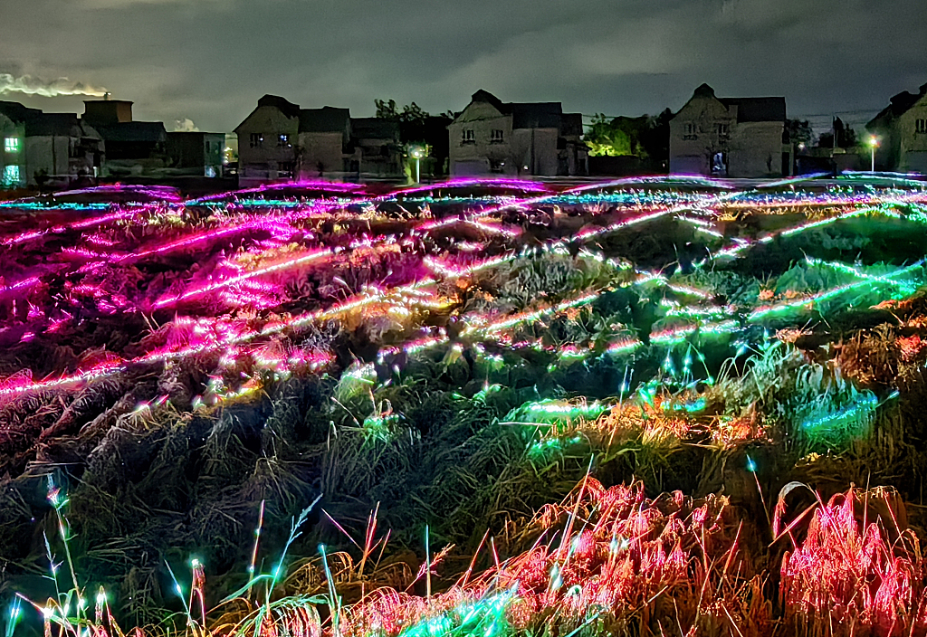 Rice fields conduct laser lights during a show on October 2, 2023 in Urumqi, Xinjiang. /CFP
