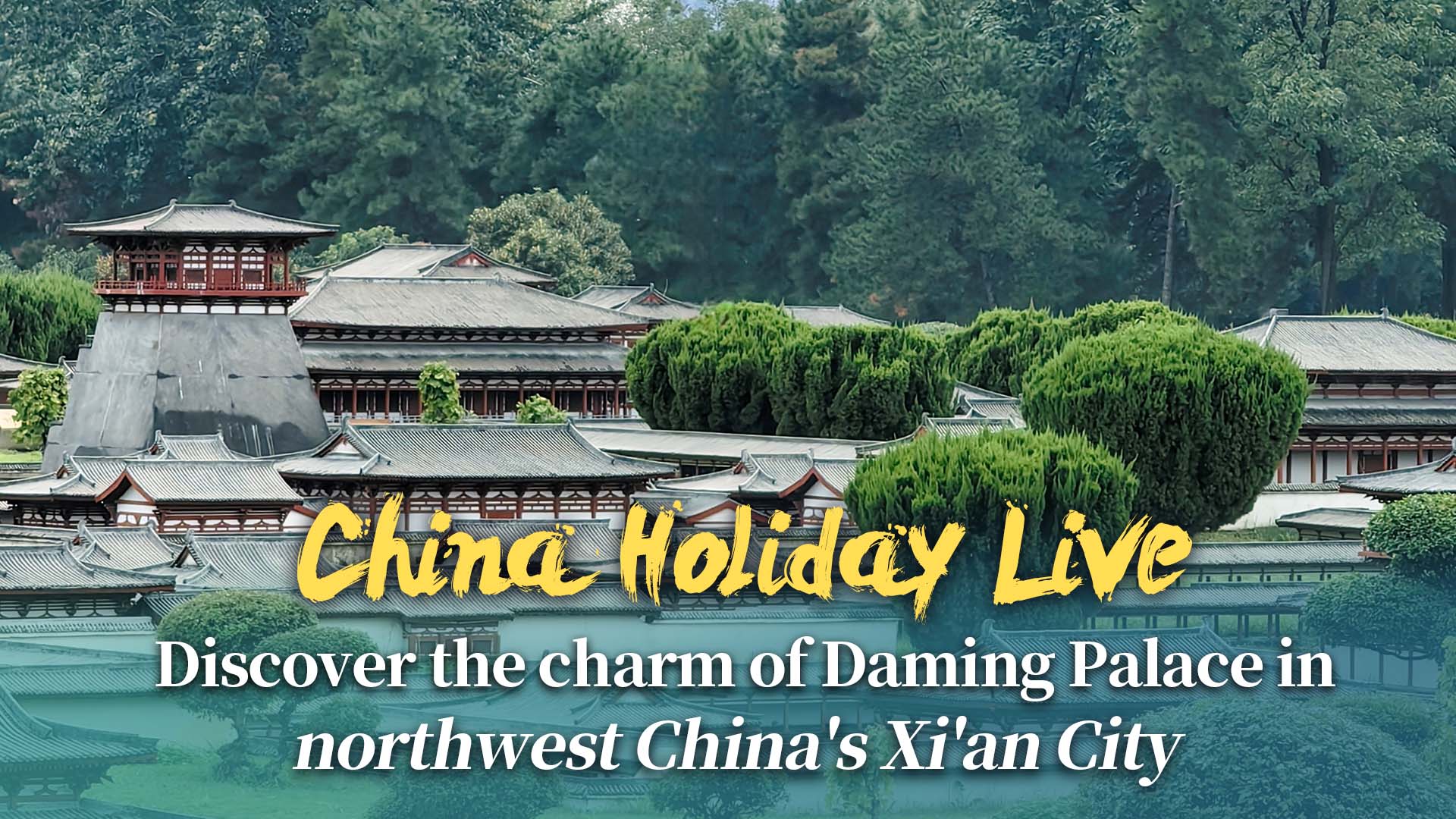 Live: China Holiday Live - Discover the charm of Daming Palace in northwest China's Xi'an City 