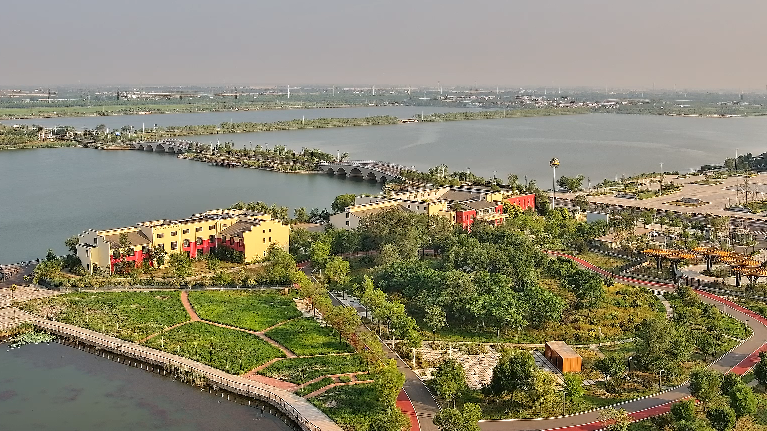 Live: Explore the picturesque wetland ecology in Hebei, China