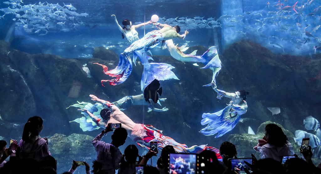 A mermaid show is staged in an aquarium in Huai'an, east China's Jiangsu Province on October 4, 2023. /VCG 