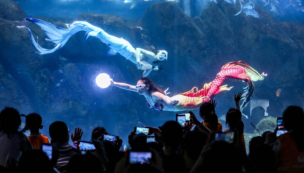 A mermaid show is staged in an aquarium in Huai'an, east China's Jiangsu Province on October 4, 2023. /VCG 