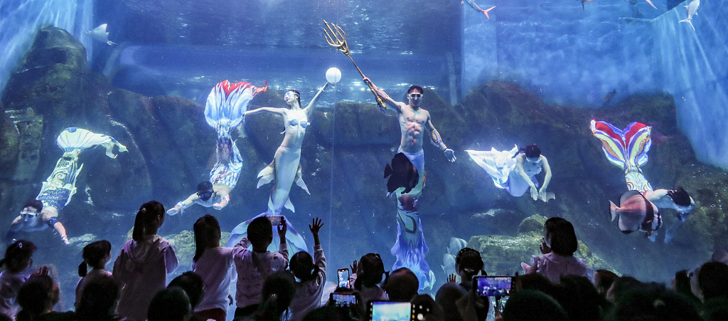 A mermaid show is staged in an aquarium in Huai'an, east China's Jiangsu Province on October 4, 2023. /VCG 