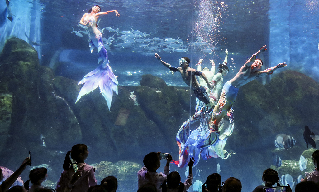 A mermaid show is staged in an aquarium in Huai'an, east China's Jiangsu Province on October 4, 2023. /VCG 