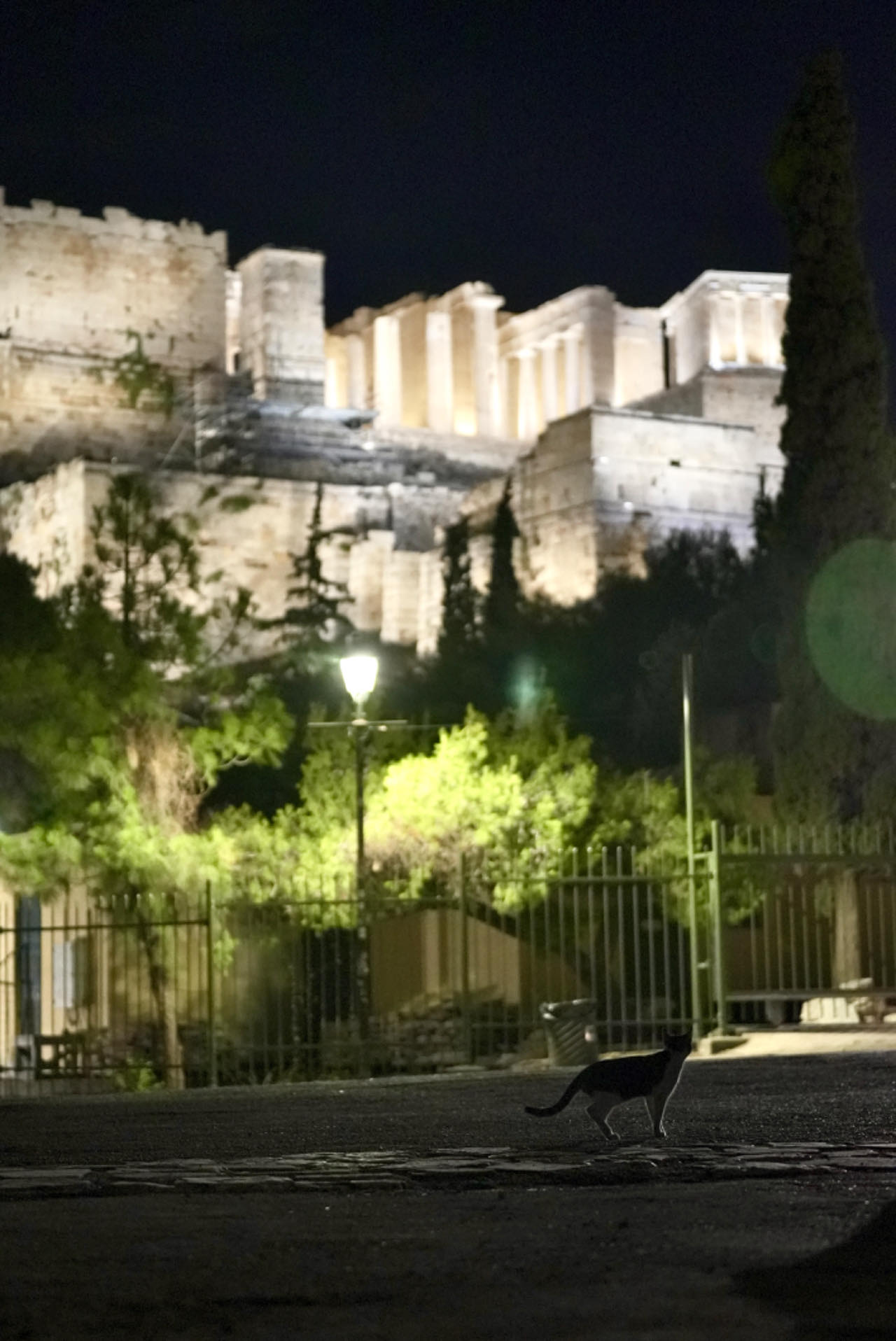 A cat walks past the ancient buildings of the Acropolis of Athens in Athens, Greece. /CGTN