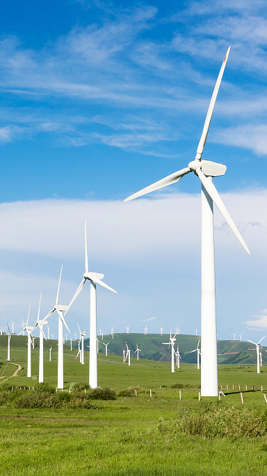 Chinese firm boosts international cooperation in clean energy