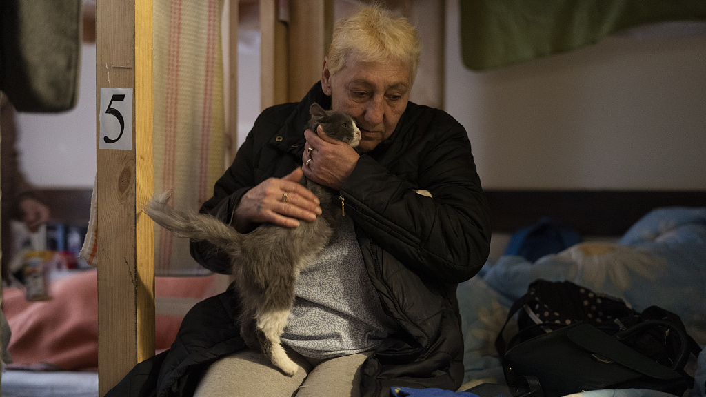 An elderly woman pets her cat as she sits on a bed in a shelter for those fleeing the war from the eastern region of the country in Dnipro, Ukraine, April 20, 2022. /CFP
