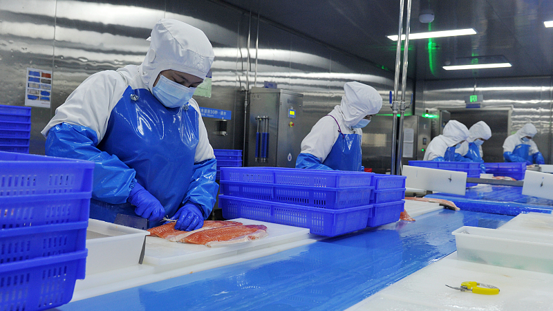 The workers slice the fish at a factory in Urumqi, the capital of northwest China's Xinjiang Uygur Autonomous Region, September 10, 2023. /CFP