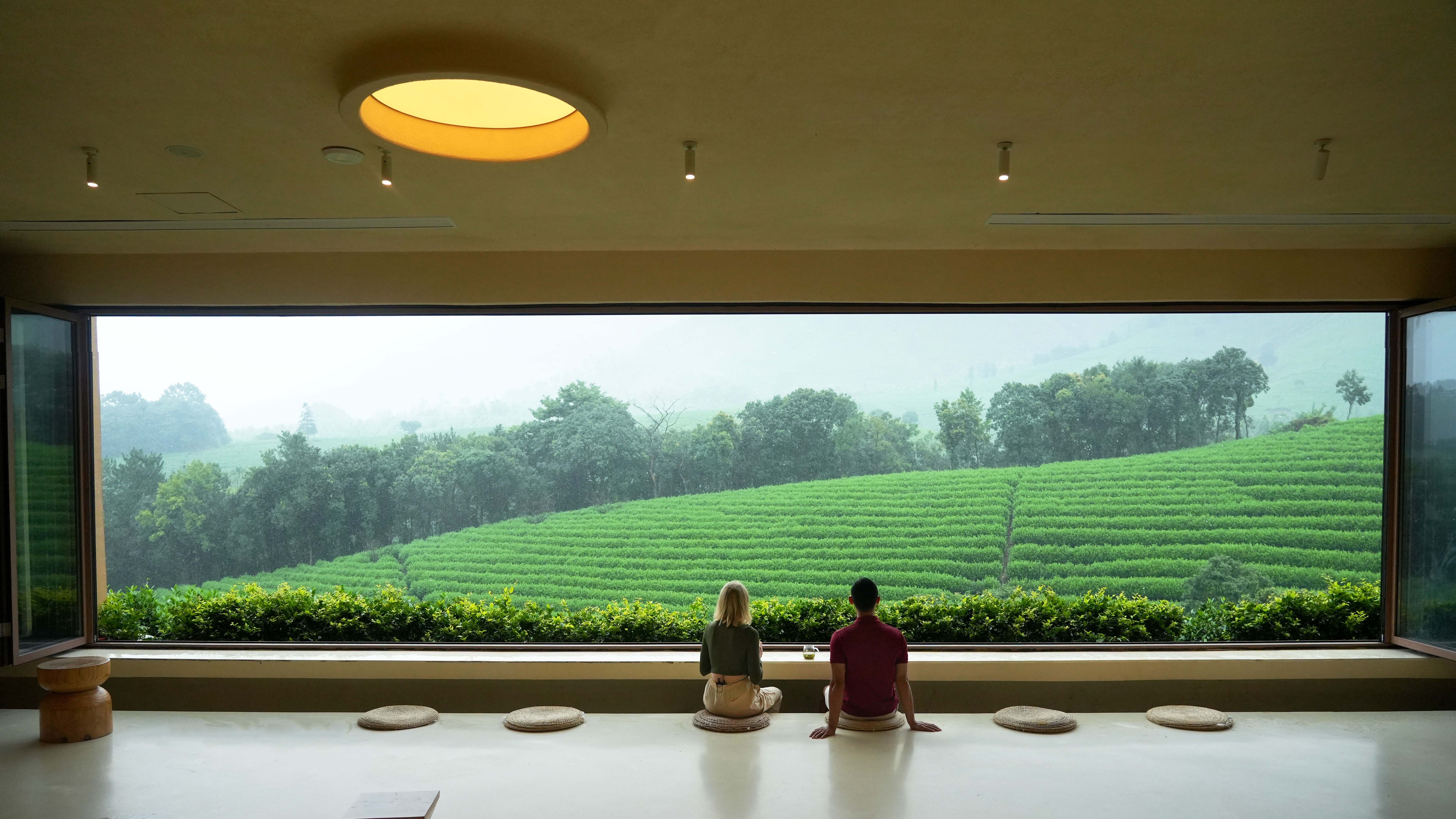 Sip serenity with Anji white tea!