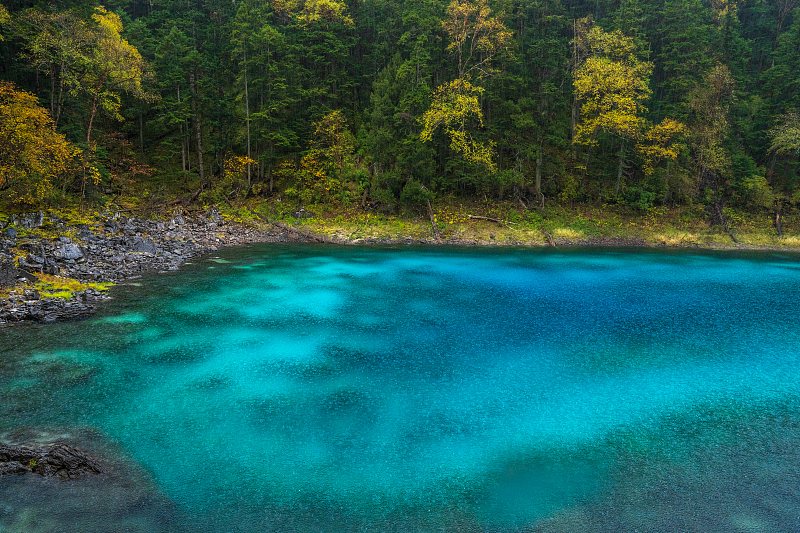 Emerald lakes and diverse flora and fauna add to the picturesque scenery found in the Jiuzhai Valley, Sichuan Province, in this photo taken on October 5, 2023. /CFP