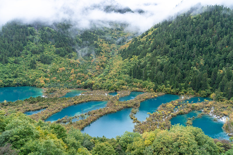 The Jiuzhai Valley in Sichuan Province was listed as a UNESCO World Heritage Site in 1992 due to its stunning scenery and its diverse flora and fauna, as seen in this photo taken on October 5, 2023. /CFP