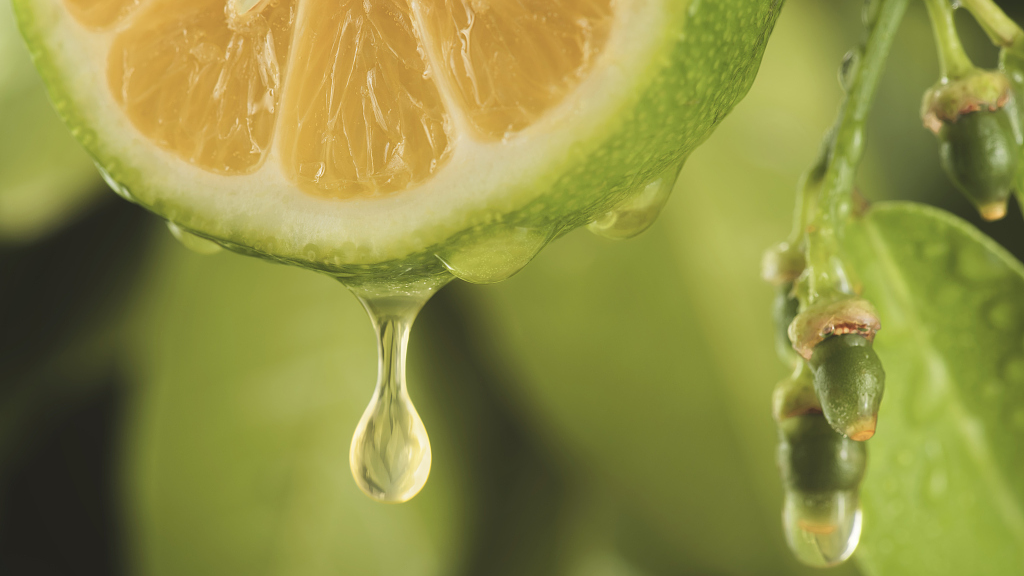Brazil is a leading orange juice exporter accounting for about 60 percent of the global supply. /CFP