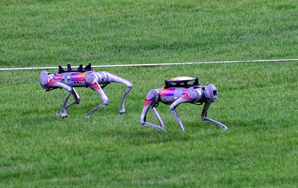 Robot dogs are photographed carrying discuses for the athletes at the 19th Asian Games in Hangzhou, east China's Zhejiang Province, October 2, 2023. /CFP