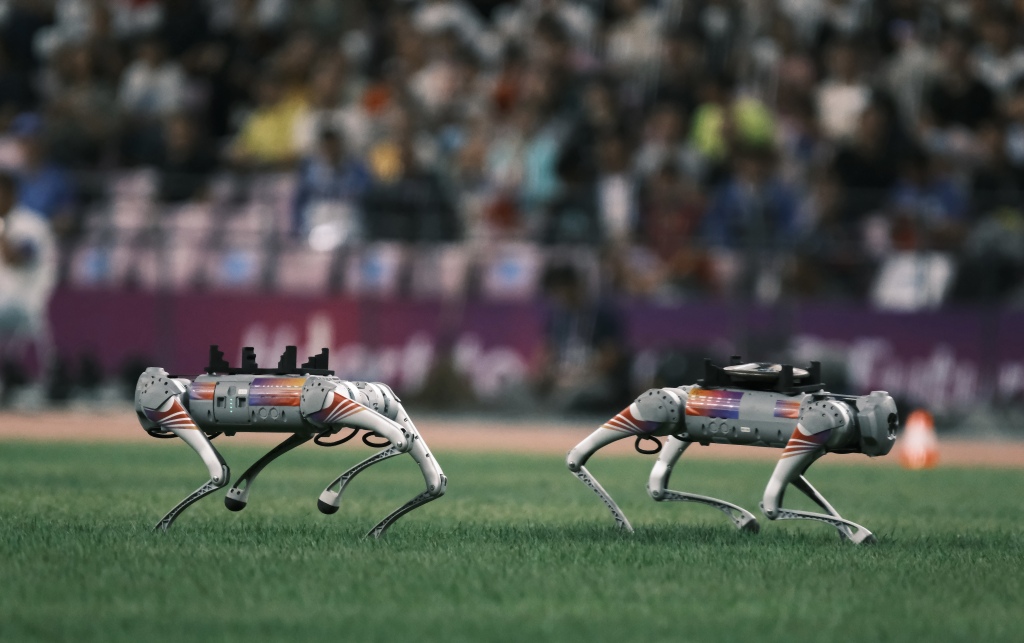 Robot dogs are photographed carrying discuses for the athletes at the 19th Asian Games in Hangzhou, east China's Zhejiang Province, October 2, 2023. /CFP