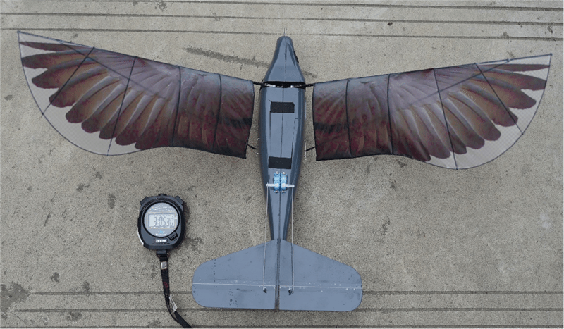 The flapping-wing aircraft Xinge. /Northwestern Polytechnical University