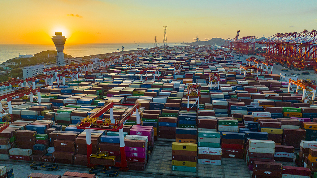 A view of an automated terminal at Shanghai Port, east China's Shanghai, August 13, 2023. /CFP