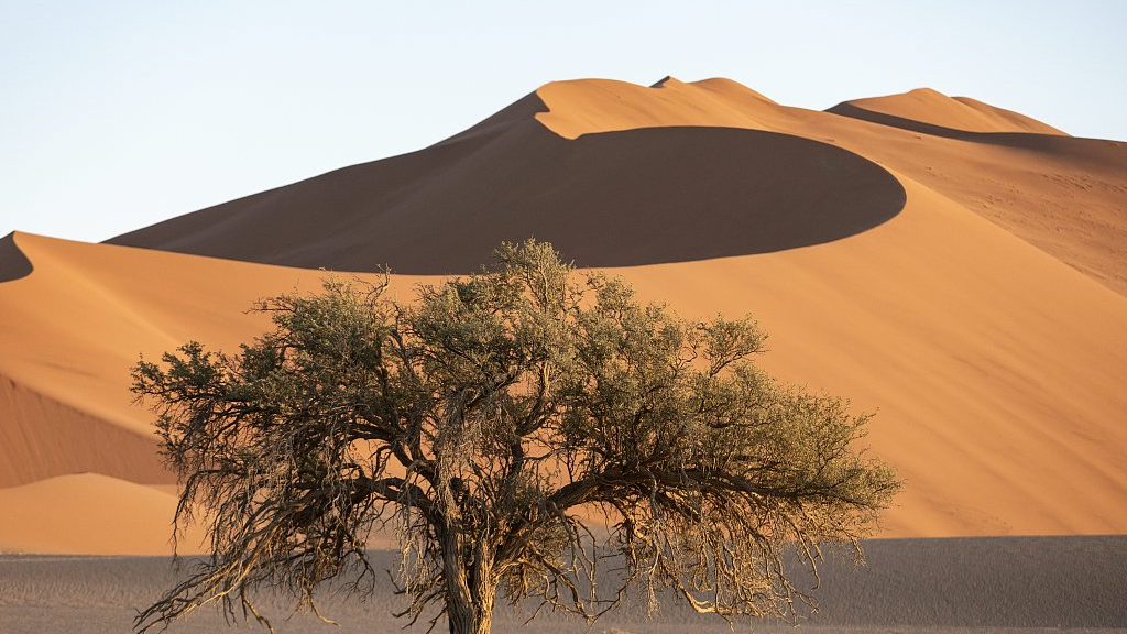 Sossusvlei is a salt and clay desert in the Namib Desert, located in the Namib Naukluft Park in Namibia. /CFP
