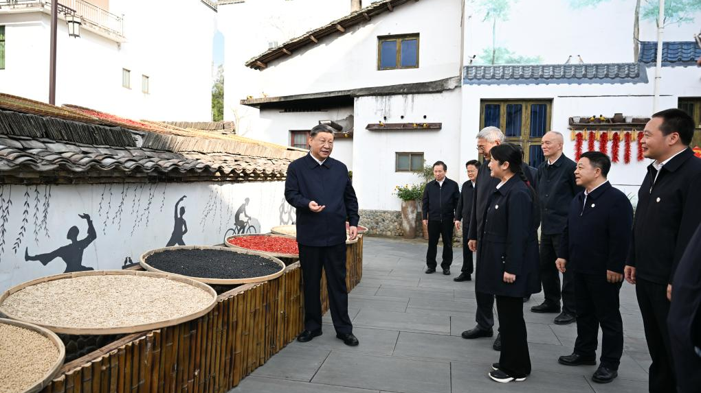 Xi Jinping, general secretary of the Communist Party of China Central Committee, visits a village in Wuyuan County, Shangrao City, east China's Jiangxi Province, October 11, 2023. /Xinhua