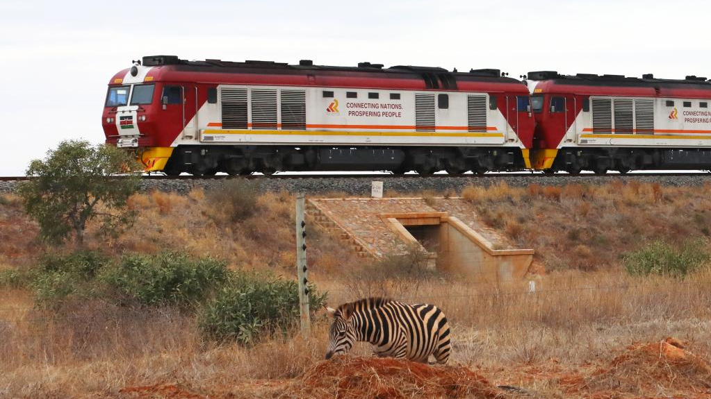 A zebra is pictured inside a protective fence as a freight train runs on the Mombasa-Nairobi Railway track in Kenya, July 28, 2022. /CFP