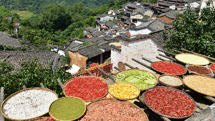 Shaiqiu, a painting of autumn in Jiangxi - CGTN