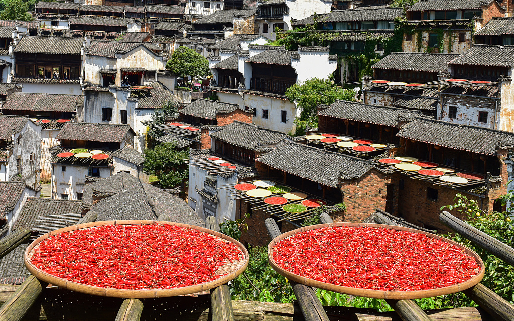 A photo shows the colorful autumn harvest dried in autumn sunlight in Huangling Village, Jiangxi Province. /CFP