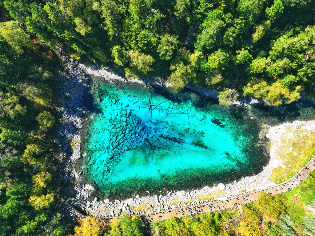 An aerial view of a lake at Jiuzhaigou scenic spot in Jiuzhaigou County, Sichuan Province, September 29, 2023. /CFP