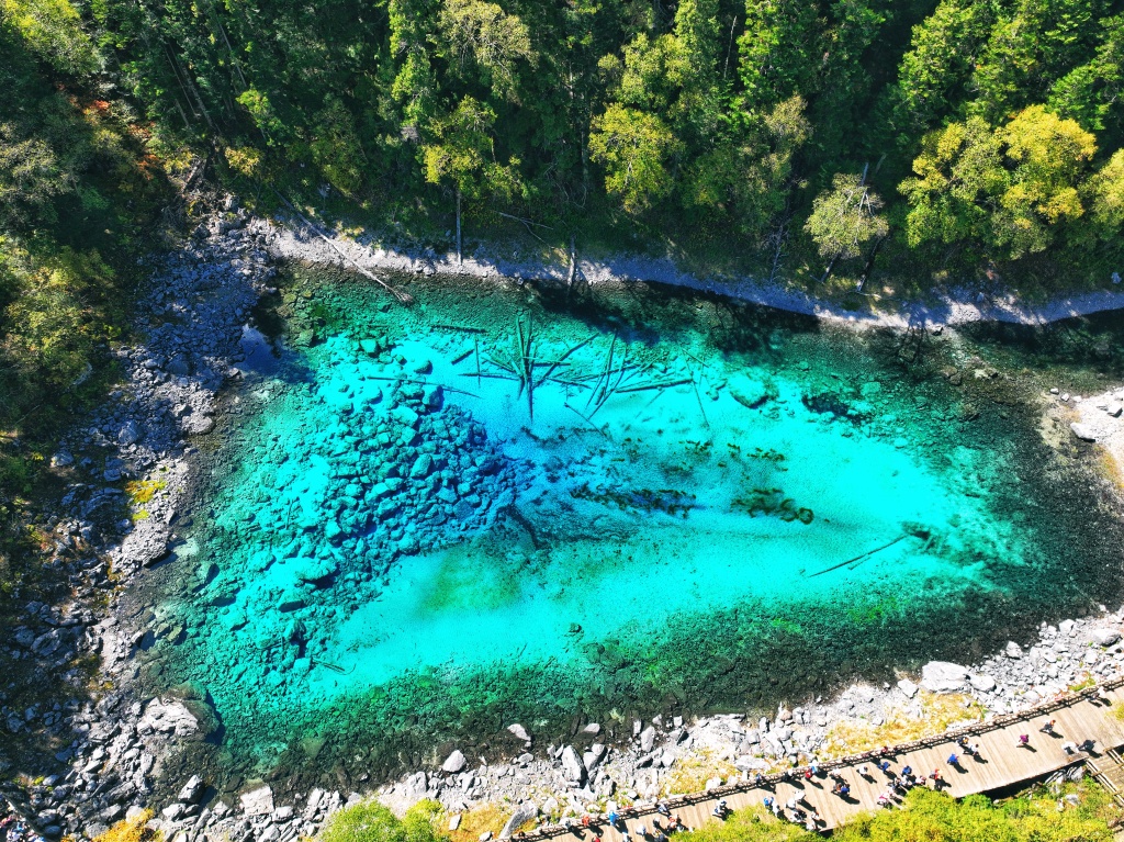 An aerial view of a lake at Jiuzhaigou scenic spot in Jiuzhaigou County, Sichuan Province, September 29, 2023. /CFP