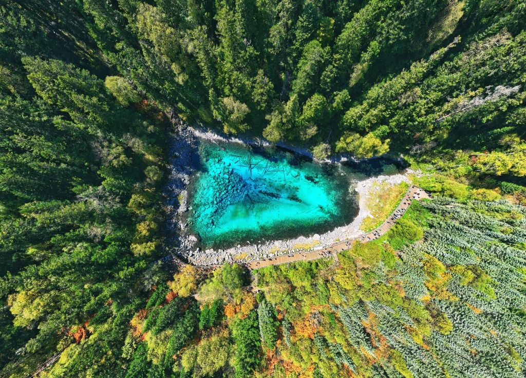 An aerial view of a lake at Jiuzhaigou scenic spot in Jiuzhaigou County, Sichuan Province, September 29, 2023. /CFP