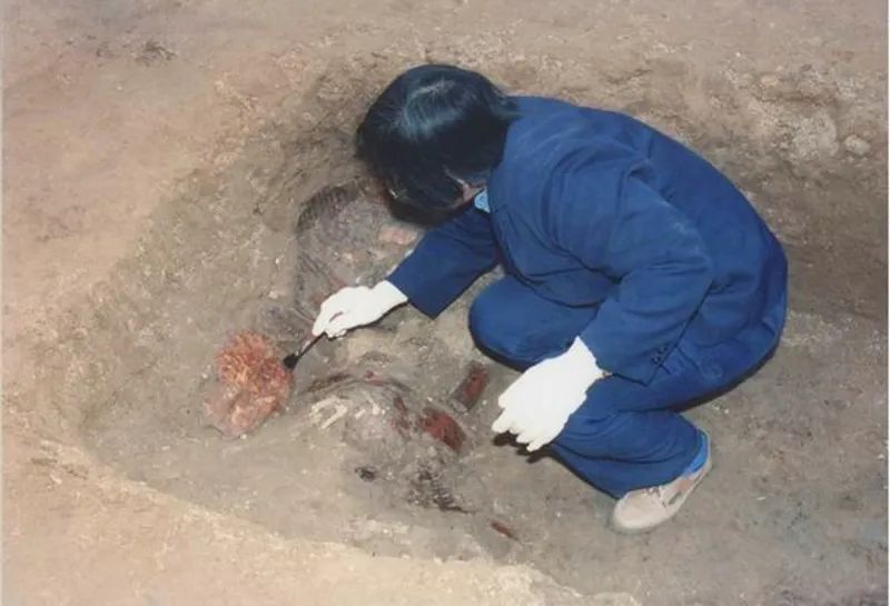 Chinese archaeologist Liu Yiman at work /Daozhonghua