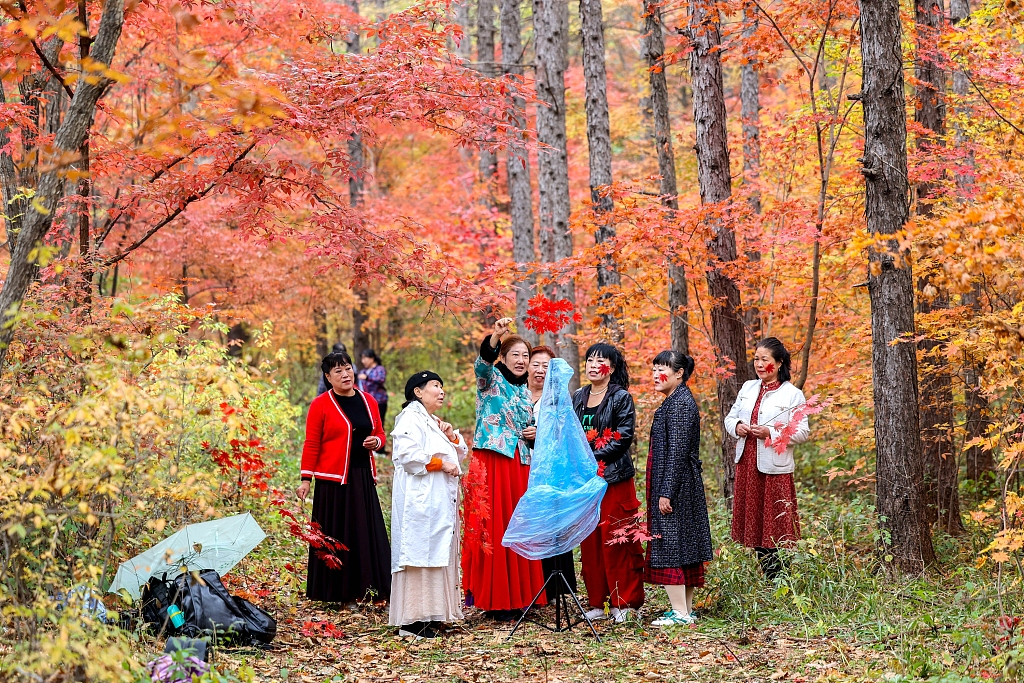 The visitors pose for photos with the red-leaved maple trees as their backdrop. /CFP