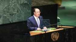 China calls for immediate ceasefire between Palestine, Israel - CGTN