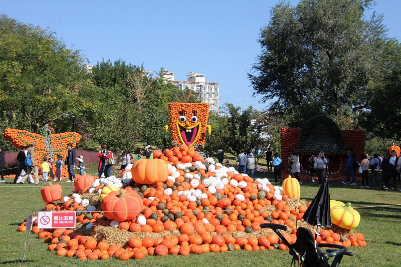 An artistic installation made of pumpkins is photographed at the Beijing World Flower Wonderland Park, October 14, 2023. /CFP