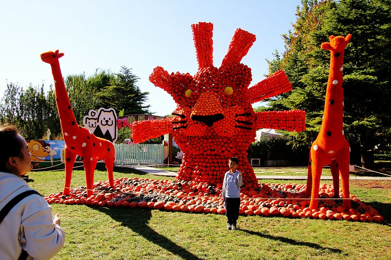 Visitors take photos with a pumpkin installation at the Beijing World Flower Wonderland Park, October 14, 2023. /CFP