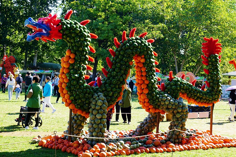 A dragon-shaped installation made of pumpkins is photographed at the Beijing World Flower Wonderland Park, October 14, 2023. /CFP