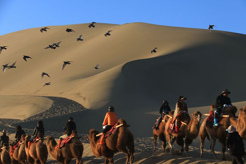 Visitors ride camels as they enjoy views of the desert at the Mingsha Mountain Crescent Spring Scenic Area in Dunhuang City, Gansu Province, October 13, 2023. /CFP