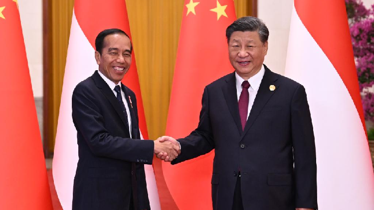 Xi calls for long-term, steady growth of China-Indonesia ties - CGTN