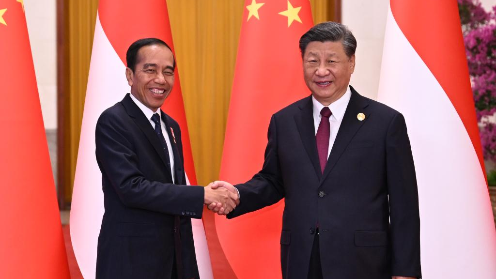 Chinese President Xi Jinping (R) meets with Indonesian President Joko Widodo in Beijing, China, October 17, 2023. /Xinhua