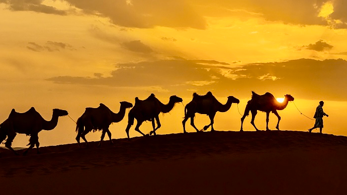 A new chapter for Silk Road, with a shared future and connected hearts