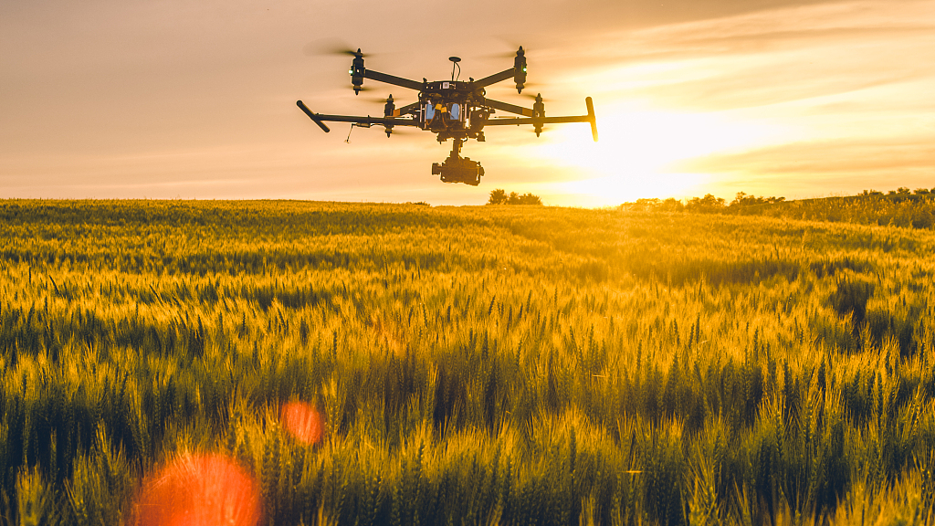 A drone flies over a field at sunset. /CFP