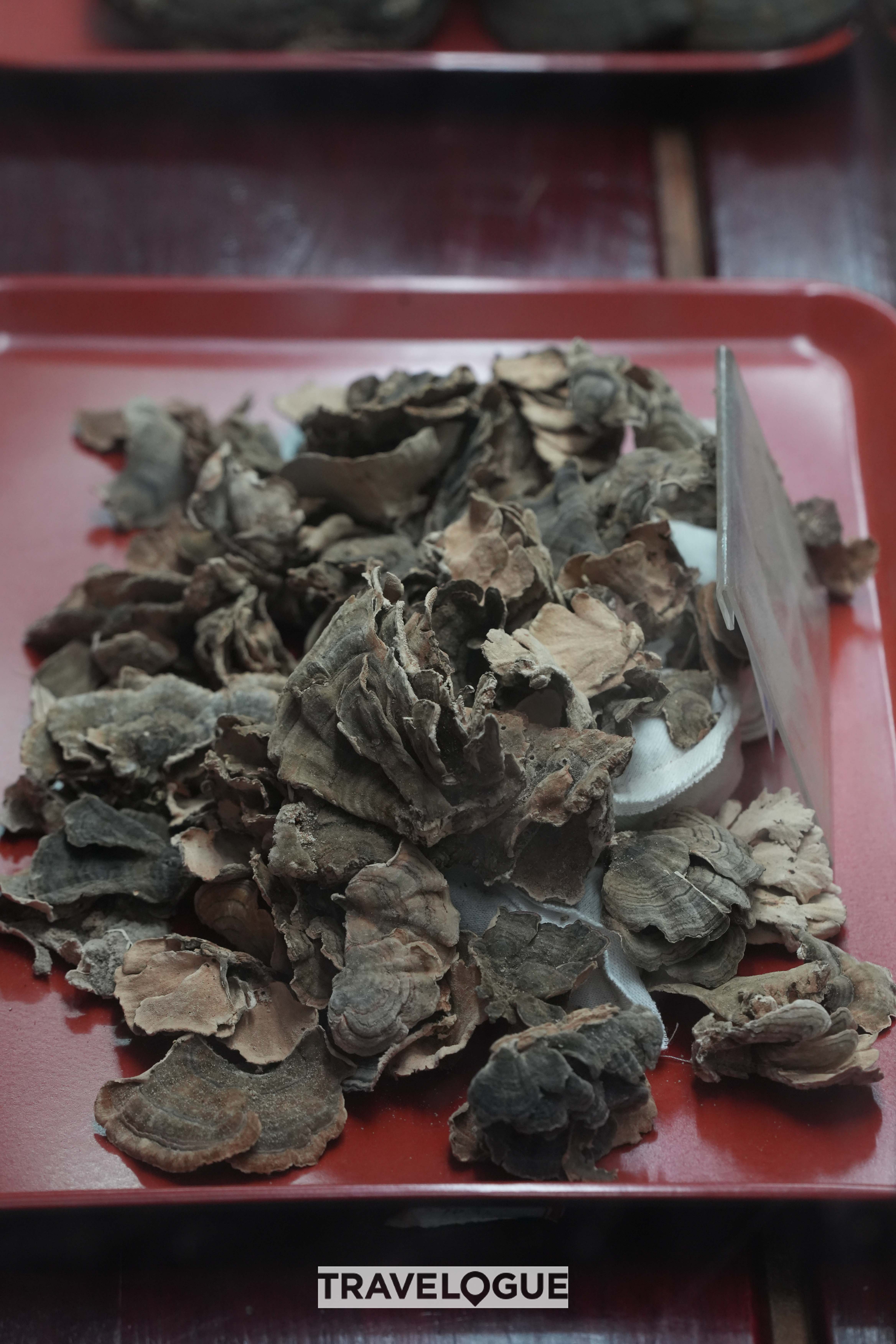 The photo shows herbal ingredients used in the creation of Chinese Traditional Medicine. /CGTN