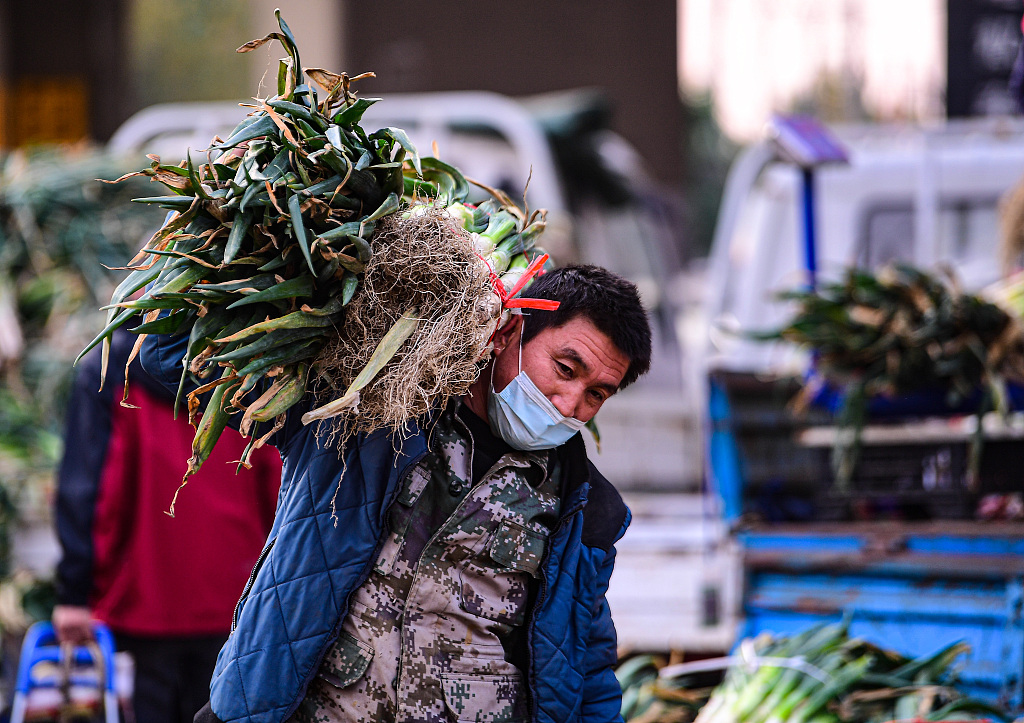 A man carries green onions on his shoulder in Shenyang, northeast China's Liaoning Province in this file photo. /CFP