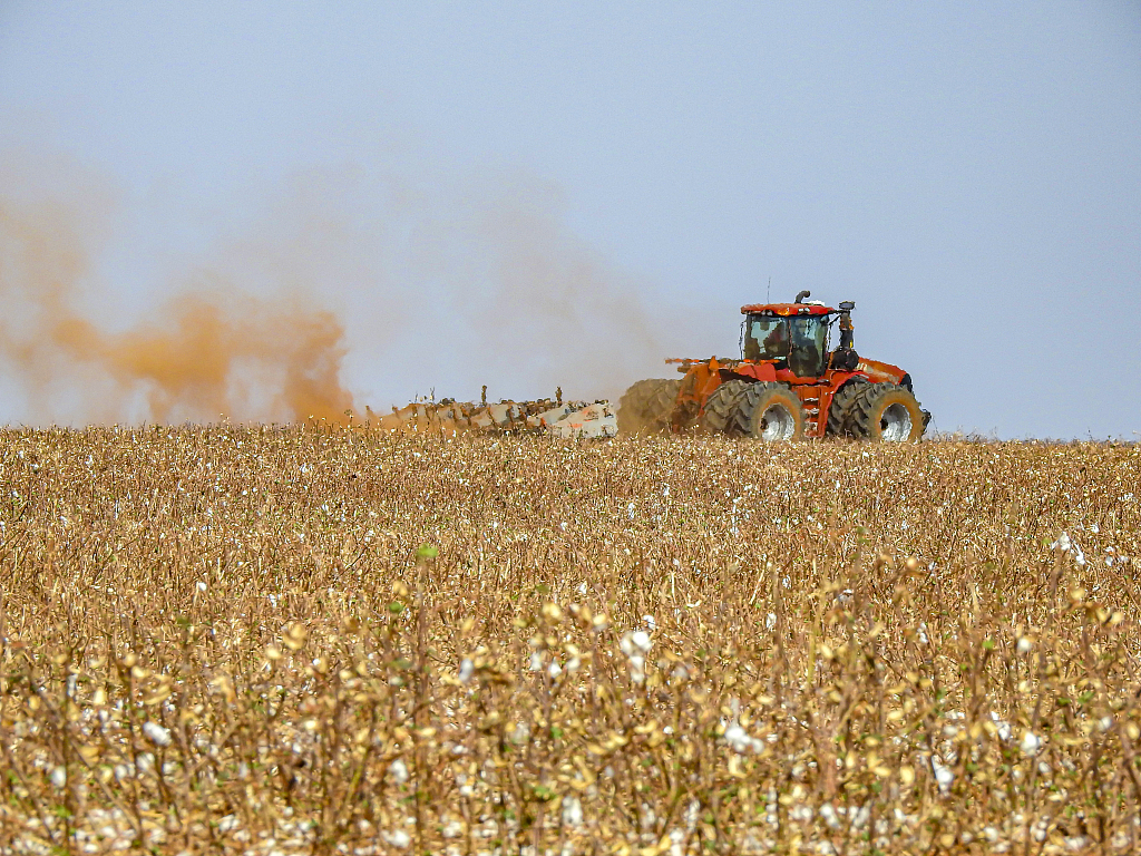 Soybean fields in Cerrado, Brazil. /CFP