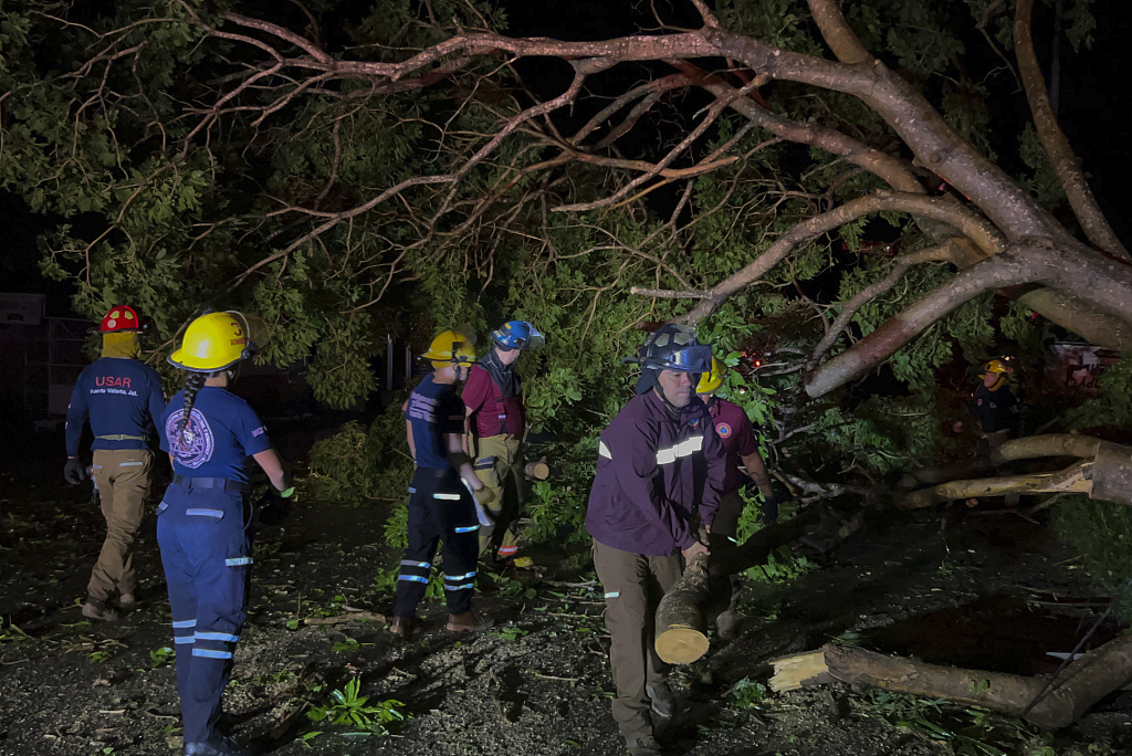 Firefighters remove trees felled by the winds from Hurricane Lidia in Puerto Vallarta, October 11, 2023. /CFP