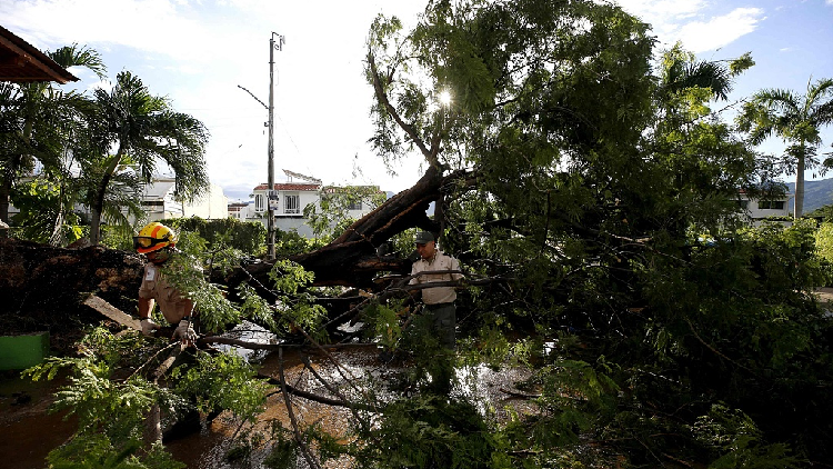 Study: Hurricanes Are Now Twice As Likely To Intensify Than Decades Ago ...